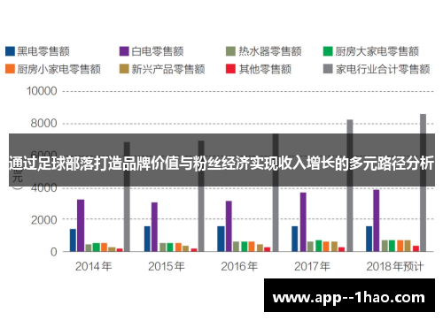 通过足球部落打造品牌价值与粉丝经济实现收入增长的多元路径分析