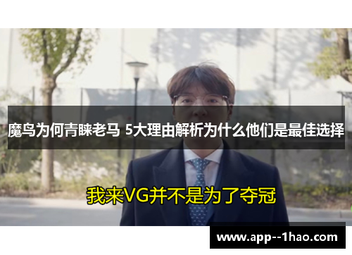 魔鸟为何青睐老马 5大理由解析为什么他们是最佳选择